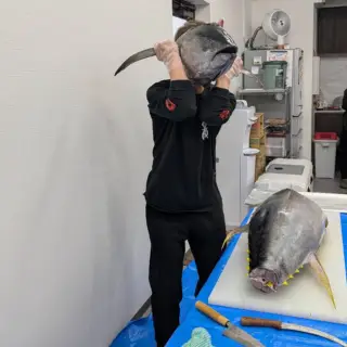マグロ解体ショーサブ１